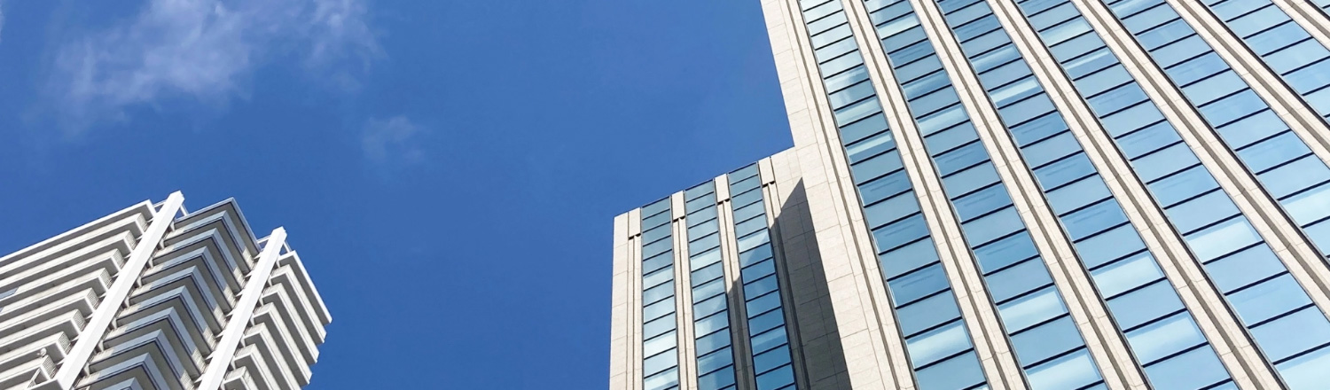 応募・お問合せ